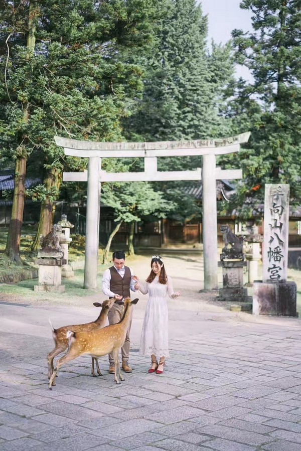 旅拍婚紗,日本婚紗,海外婚紗,奈良拍婚紗,奈良婚紗照